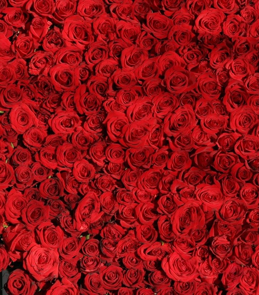 Angebot: Valentinstag 2026 - Strandhotel Seerose