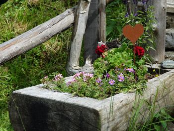 Paul's Alm - Tyrol - Austria