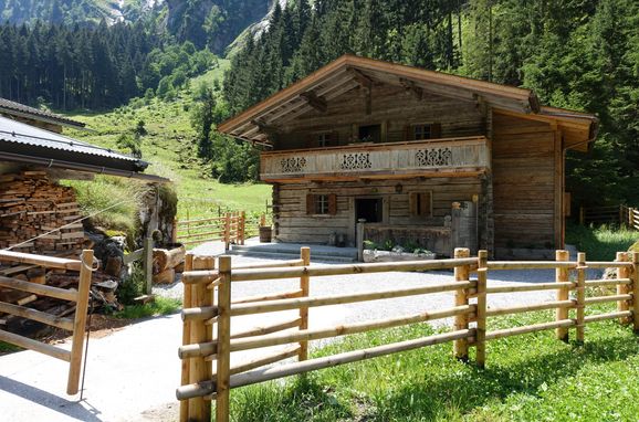 Sommer, Lacknerbrunn Alm, Mayrhofen, Tirol, Tirol, Österreich