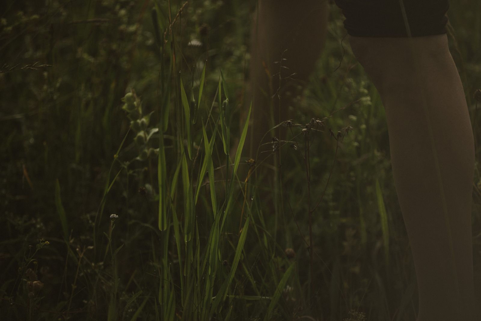 MINDFULNESS Retreat im Tirolerhof image 2 - Familotel Zugspitze Hotel Tirolerhof