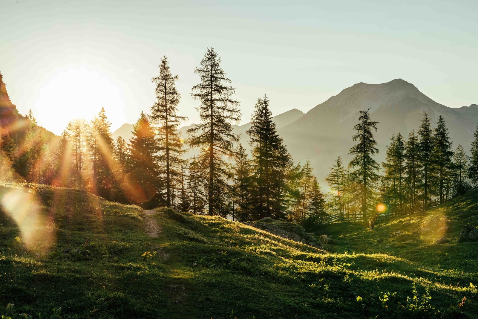 Zugspitzliebe im Herbst - 1 Nacht gratis! image 4 - Familotel Zugspitze Hotel Tirolerhof