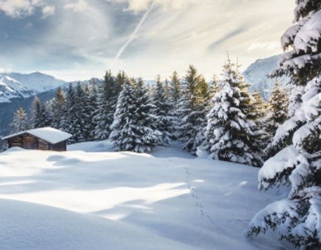 Angebot: Neujahrs Skitage - Hotel Tirolerhof