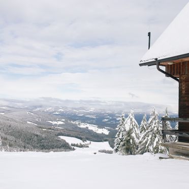 Winter, Gamsberg Hütte, Pack, Steiermark, Österreich