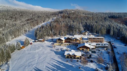 Wellnesshotel Riedlberg, in winter dress, snow-covered trees, perfect ski slope with ski slope and exercise book for children