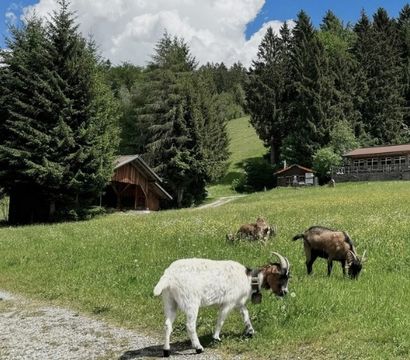 ...das kleine Paradies am Berg! Wellnesshotel Riedlberg 🌿: Berg-Tage