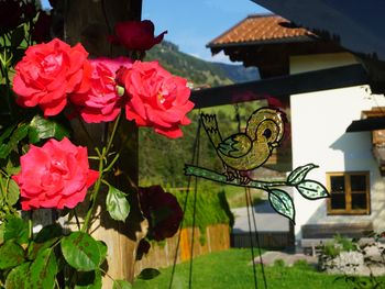 Ferienhaus Wandlehen - Salzburg - Austria
