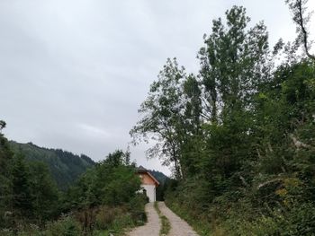 Ferienhaus Reichlbauer - Styria  - Austria