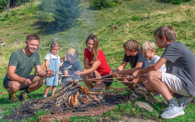 Familien-Erlebnisalmsommer image 4 - Familotel Kärnten Alpengasthof Hochegger