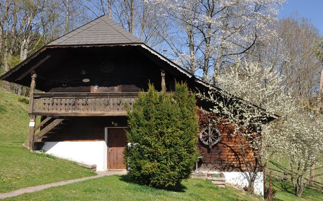 „Troatkostn“ image 3 - Familotel Steiermark Der Ponyhof – Familienhotel und Reiterparadies