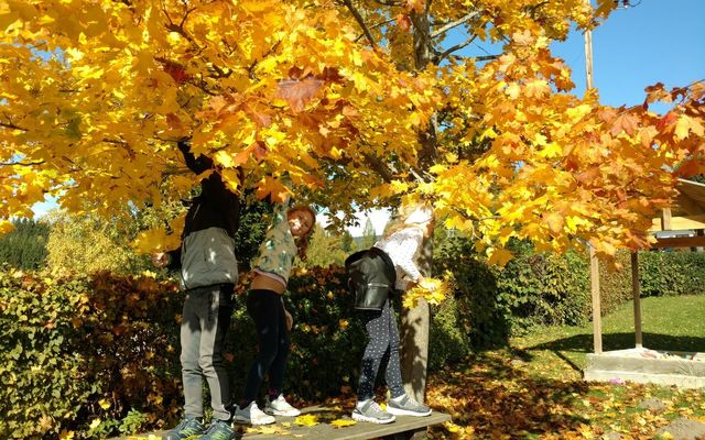 Herbstschnäppchen  image 4 - Familotel Steiermark Der Ponyhof – Familienhotel und Reiterparadies