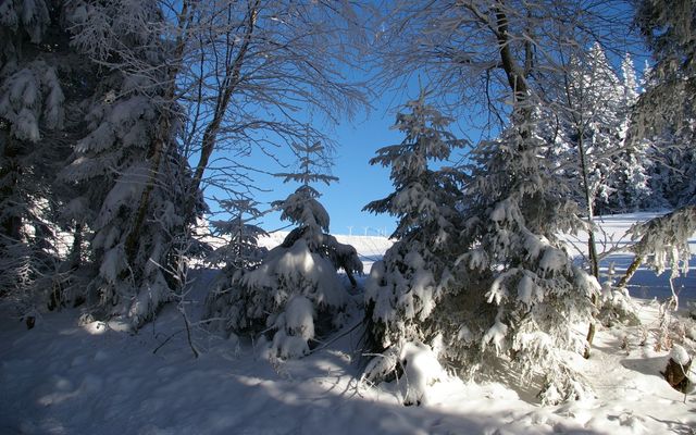 Familotel Steiermark Der Ponyhof – Familienhotel und Reiterparadies: NEUJAHRS-FAMILIENZAUBER - minus 25%