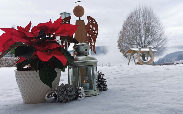 Familotel Steiermark Der Ponyhof – Familienhotel und Reiterparadies: Herzenszeit am Ponyhof