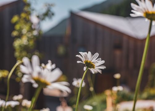 Blasla Hof, Gsies, Pustertal, Trentino-Alto Adige, Italia (10/44)