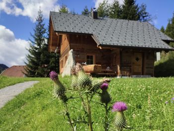 Wirths Hütte - Carinthia  - Austria