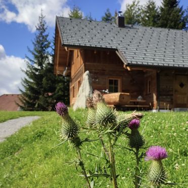 Sommer, Wirths Hütte, Kremsbrücke, Kärnten, Kärnten, Österreich