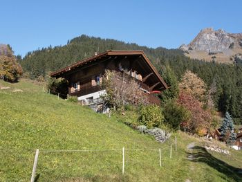 Chalet Jungfrau an der Ledi - Bern - Switzerland