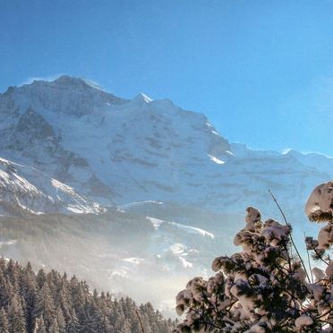 Outside Winter 13, Chalet Jungfrau an der Ledi, Wengen, Berner Oberland, Berne, Switzerland