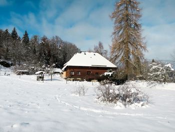 Schwarzwaldhütte Bistenhof - Baden-Württemberg - Deutschland