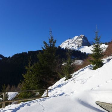 Inside Winter 23, Chalet Mountain View, Moléson-sur-Gruyères, Freiburg, Fribourg, Switzerland