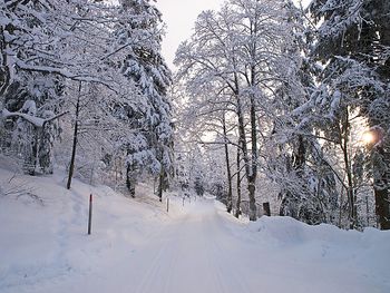 Ferienchalet de la Vue des Alpes im Jura - Jura - Schweiz