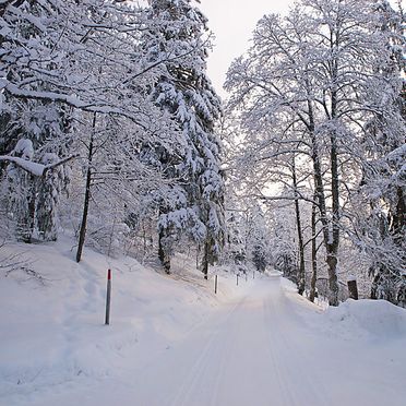 Außen Winter 24, Ferienchalet de la Vue des Alpes im Jura, La Vue-des-Alpes, Jura, Jura, Schweiz