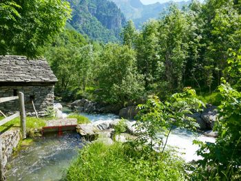 Rustico Ca'di Garoi im Tessin - Tessin - Schweiz