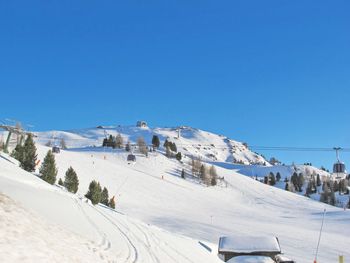 Chalet Cesa Galaldriel - Trentino-Südtirol - Italien