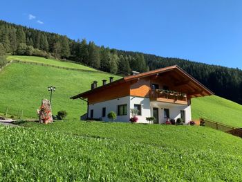 Hütte Spiegelhof - Trentino-Südtirol - Italien