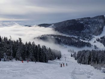Chalet Tom - Kärnten - Österreich