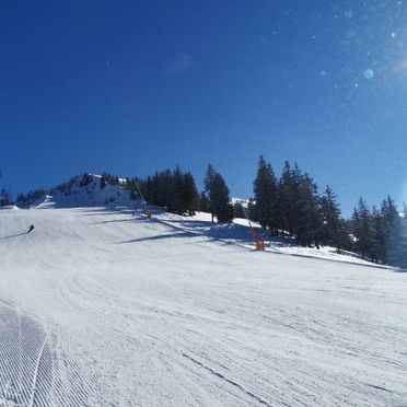 Innen Winter 44, Chalet Wildenbach, Wildschönau, Tirol, Tirol, Österreich