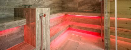 Thierseerhof - Wellness hotel - Sauna