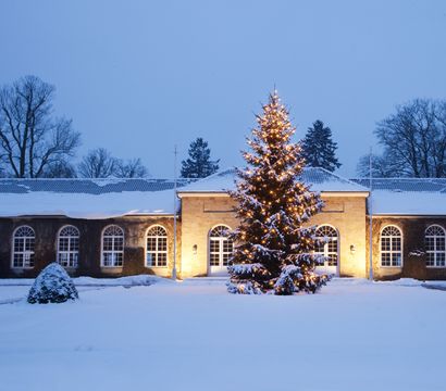 Gräflicher Park Health & Balance Resort: Park Christmas