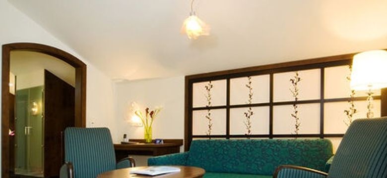 Hotel MY Kramerwirt: ELEMENT SUITE LUFT image #2