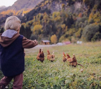 Feuerstein Nature Family Resort: Erlebniswoche im Herbst