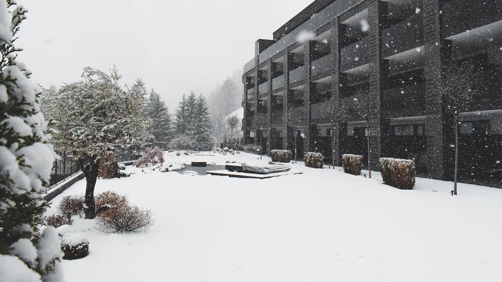 image #12 - Hotel Bad Fallenbach