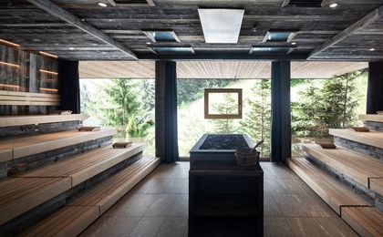 Viktoria Alpine Hideaway - Wellness hotel - Sauna