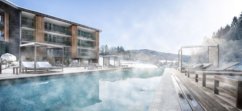 Alpine Spa Resort Viktoria: Winter active weeks