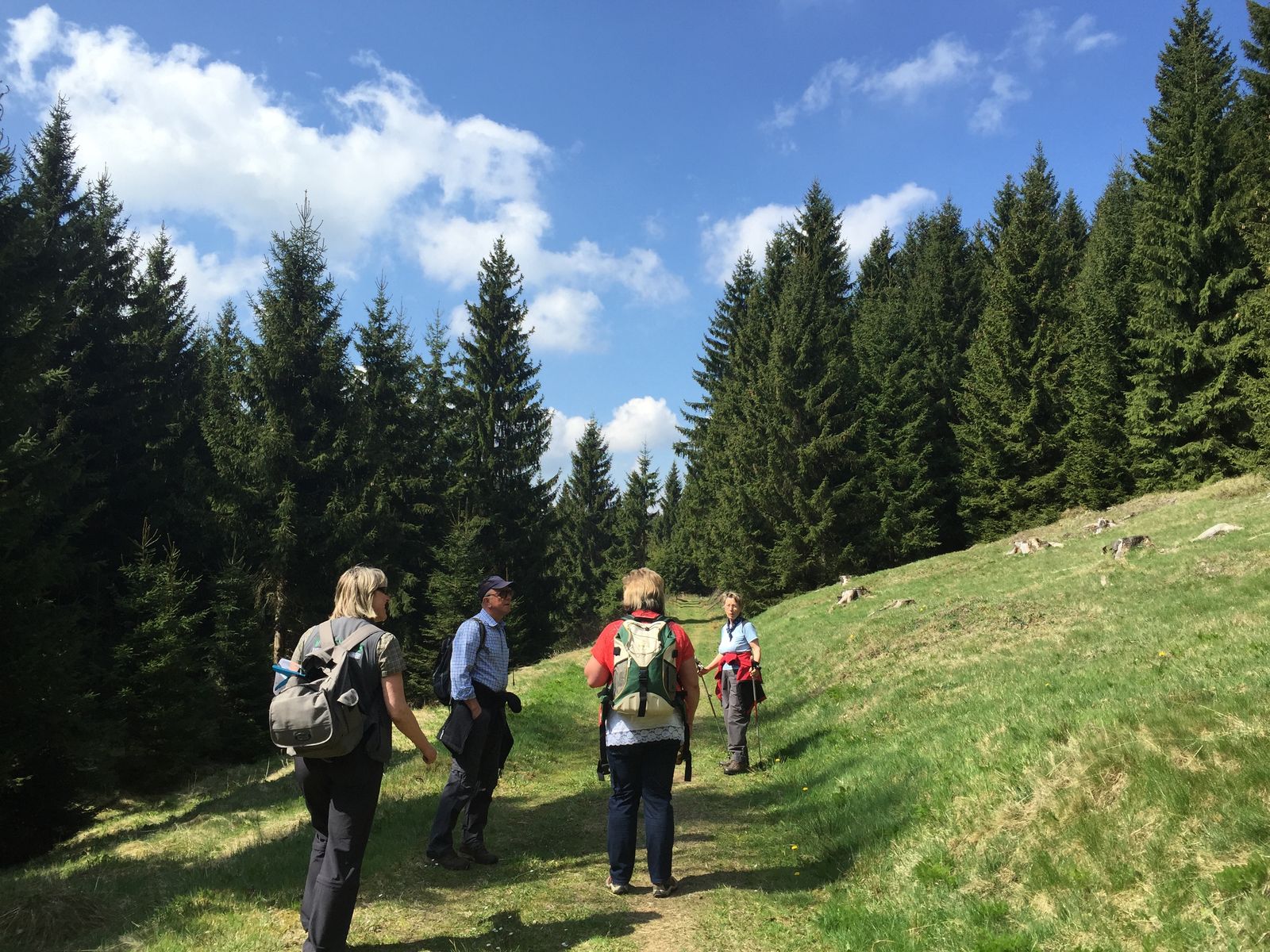 KAMMweg-wanderung-Altenberg-Holzhau