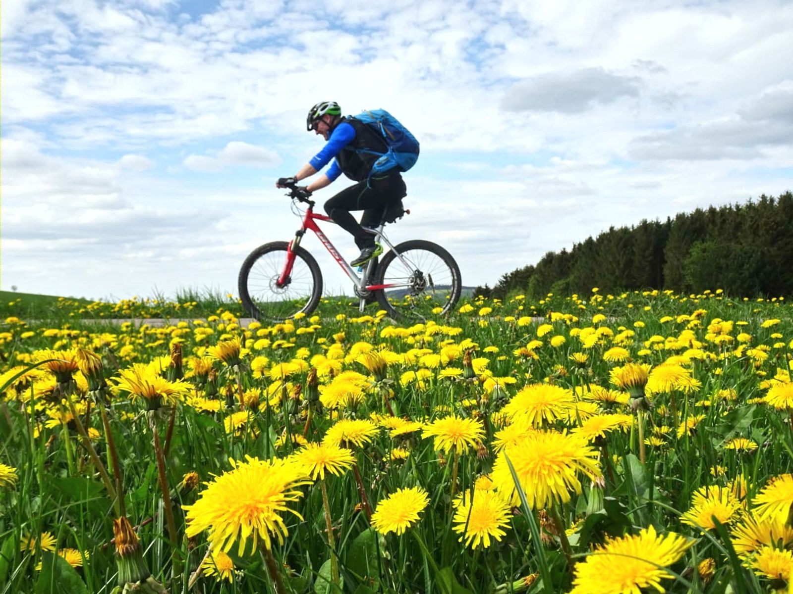 Talblick`s Aktivtage image 3 - Berghotel Talblick