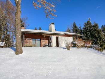 Hütte Rustika am Wörthersee - Carinthia  - Austria