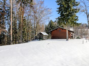 Hütte Rustika am Wörthersee - Carinthia  - Austria