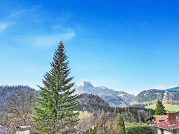 Chalet Weissenbach - Salzburg - Österreich
