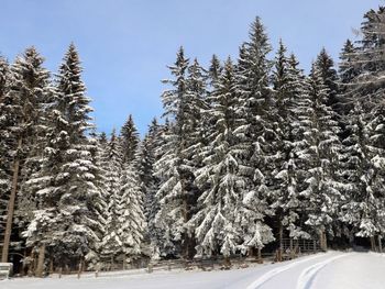 Chalet Klippitzrose - Kärnten - Österreich