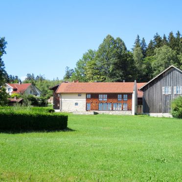 Außen Sommer 1 - Hauptbild, Ferienhütte Mader, Bischofsmais, Bayerischer Wald, Bayern, Deutschland