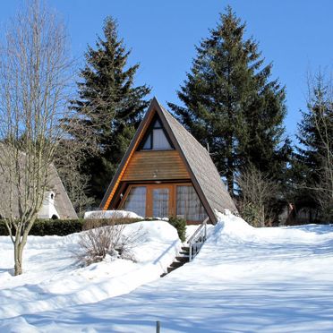 Außen Winter 21, Hütte Jägerwiesen im Bayerischen Wald, Waldkirchen, Bayerischer Wald, Bayern, Deutschland