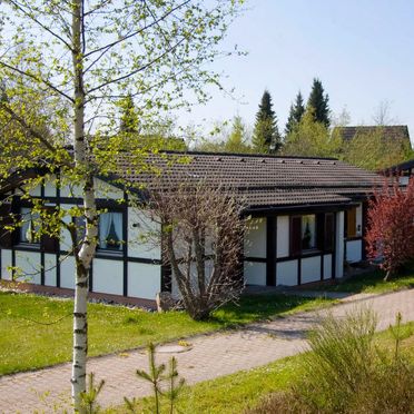 Außen Sommer 1 - Hauptbild, Schwarzwald-Chalet Tennenbronn, Tennenbronn, Schwarzwald, Baden-Württemberg, Deutschland