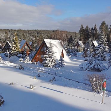Außen Winter 12, Schwarzwald-Chalet Tennenbronn, Tennenbronn, Schwarzwald, Baden-Württemberg, Deutschland