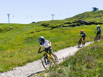 Chalet Edelweiss in La Tzoumaz - Wallis - Schweiz