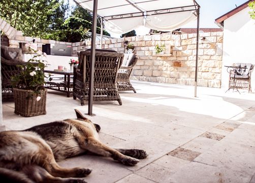 biohotel zur scheunenwirtin schwalbennest innenhof (16/19) - Zur Scheunenwirtin