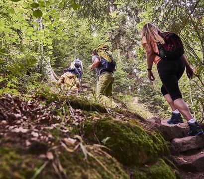 Hotel Kronelamm im Schwarzwald: Wander-Wellness-und Genusstage